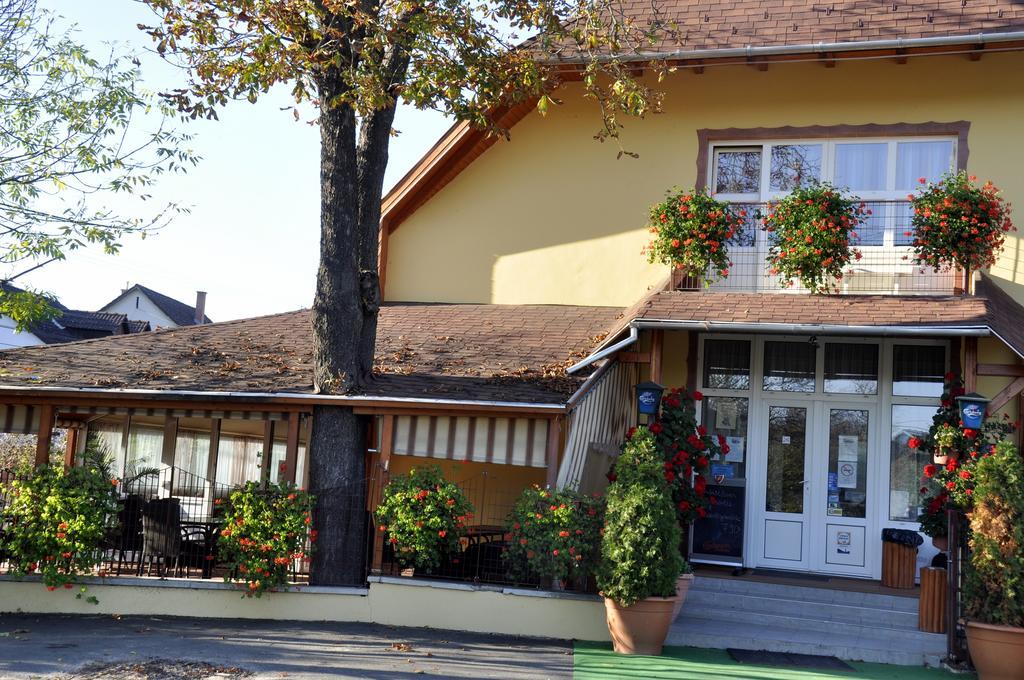 Tengerszem Panzio Bed & Breakfast Bánk Екстериор снимка